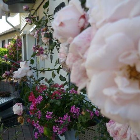 Gastehaus Rosengarten Im Nahetal Kirn Екстериор снимка